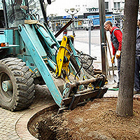 Anheben eines Baums durch maschinelle Unterstützung