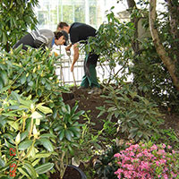 Unsere Mitarbeiter bei der Vorbereitung des Bodens