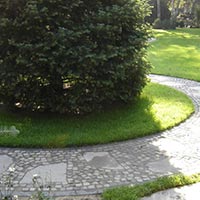 Pflasterung im Garten mit Betonstein